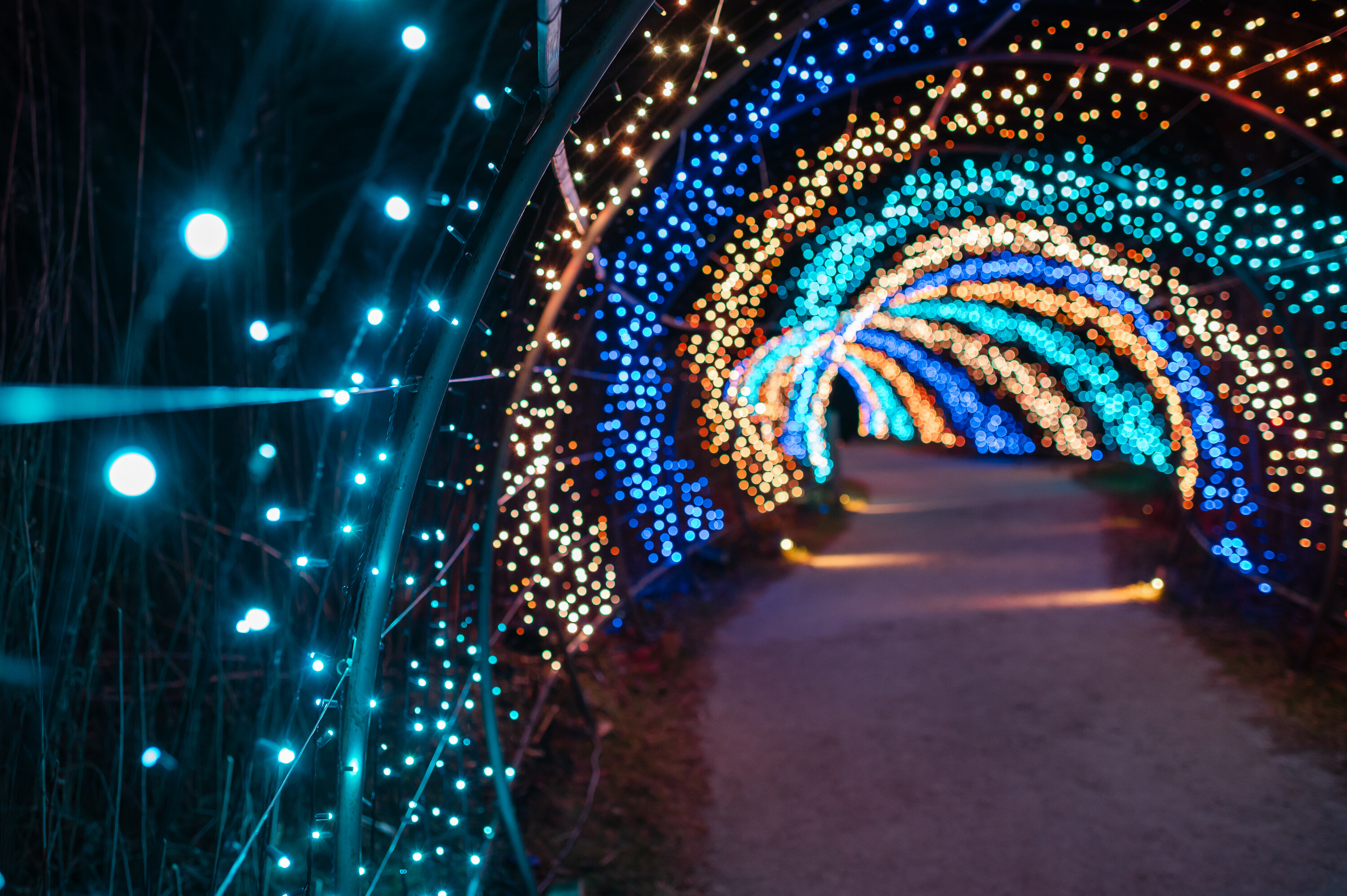 Longwood Gardens archive: 834257 20251120 InnovatorChristmas 98.jpg Carrozzino %20Laurie%20%281%29